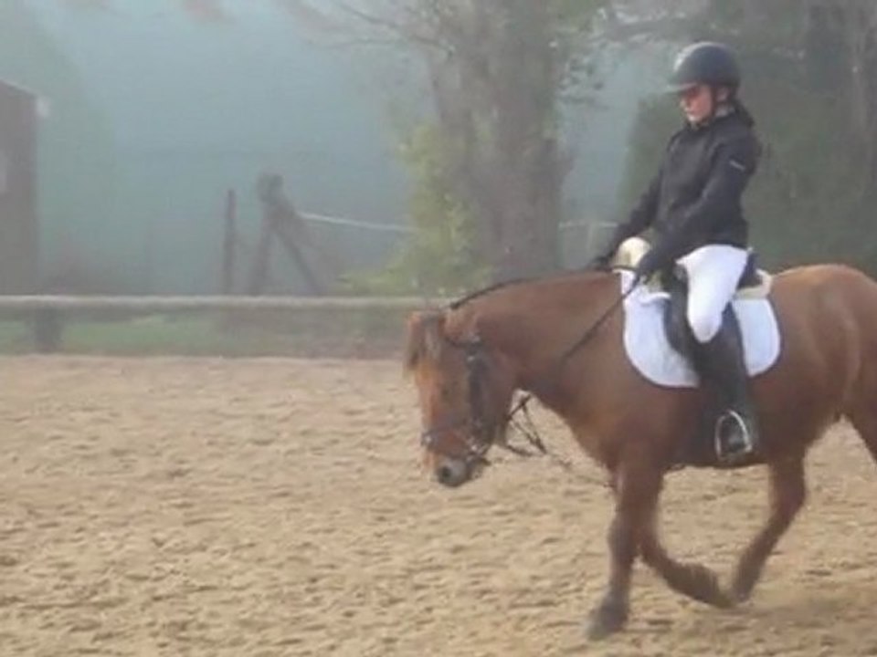 Concours dressage Poney 2 Imposée 20-11-11