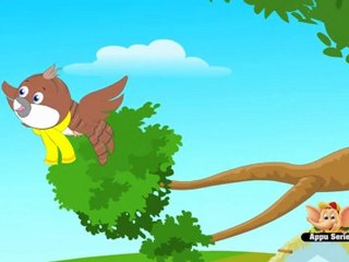 Nursery Rhyme - The Cuckoo