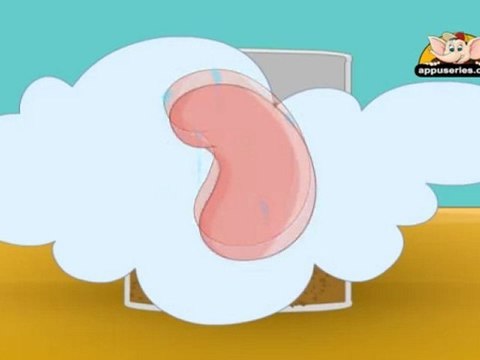 Learn About Plants - Grow Your Own Plant