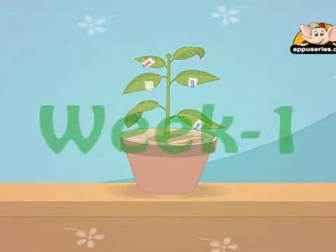 Learn About Plants - Photosynthesis Experiment 2