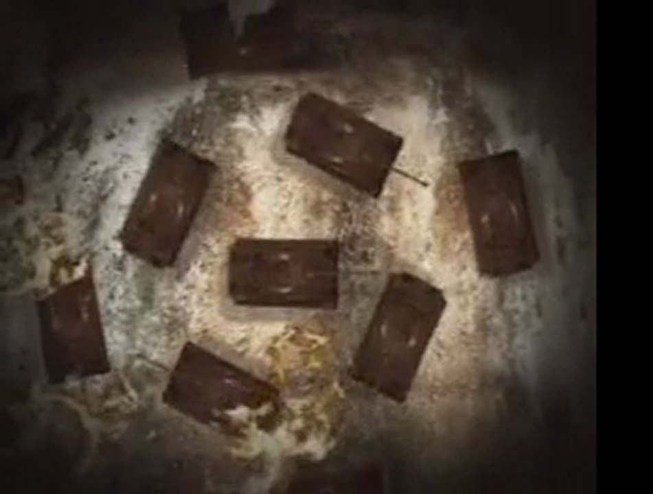 Metric - Combat Baby