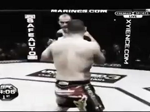 ufc, mixed martial arts, MMA, junior dos santos, cain velasquez