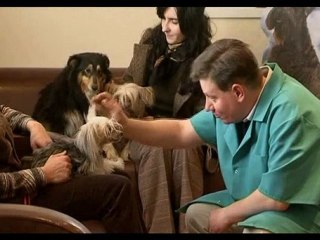 LECZNICA ZWIERZĄT PIŁA