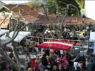 Allauch, Fête de l'âne (4 Déc.2011)