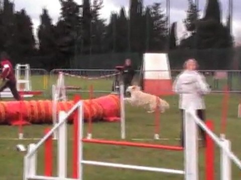 CERISE JUMPING CARCASSONNE 04 12 2011