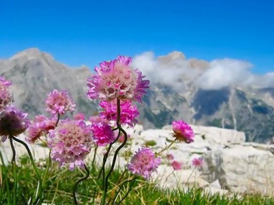 Etkileyici Sedat Uçan Mecnun Olmuşum