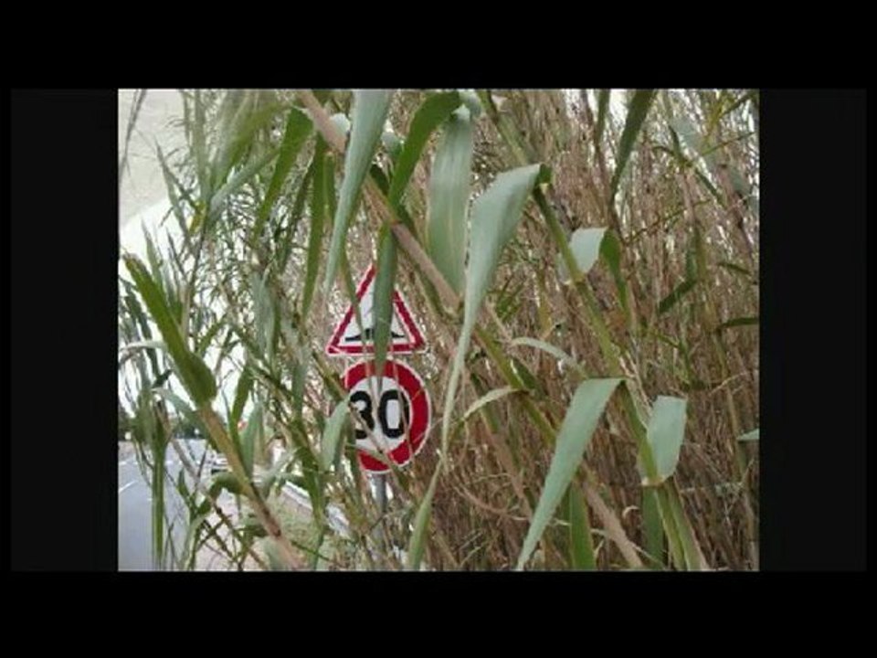 02 CANAL GARE PENICHE