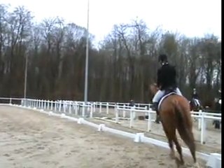 Morgane dressage 27:02:11 avec Prestige