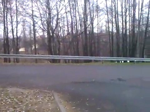 Moja okolica - Jastrzębie Zdrój