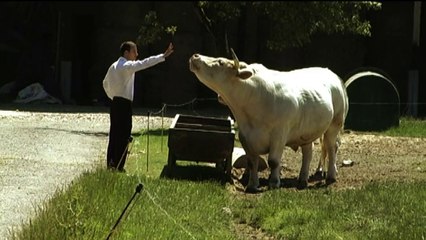 Pour l'amour d'un enfant  - court Métrage