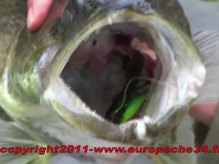 Pêche des carnassiers aux leurres sur l'Hérault barrage de la meuse par Europêche34