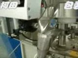 sunflower seeds pouch  packing machine[full automatic]