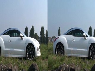 Honda CRZ & Peugeot RCZ 3D