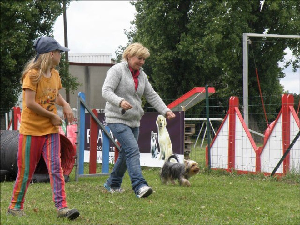 Fête du club canin 25 juin 2011