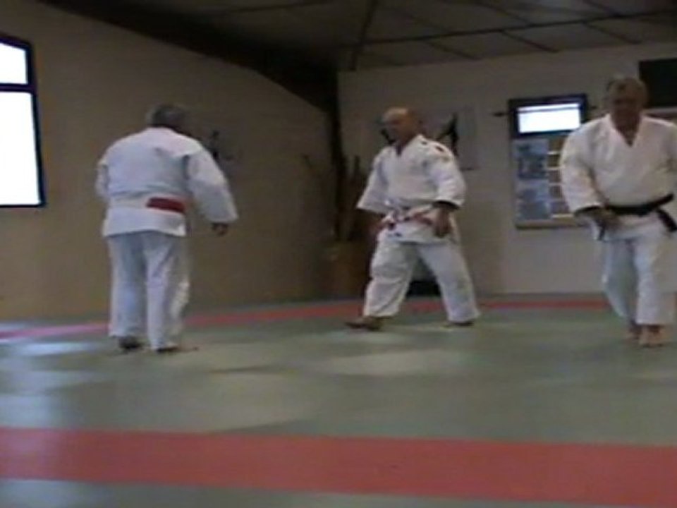 GOSHIN JUTSU KODOKAN