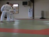 GOSHIN JUTSU KODOKAN 2