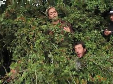 DU BARTÀS [ dins lo bartàs ]