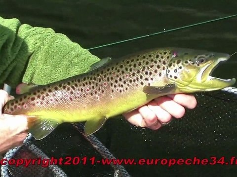Pêche à la mouche en réservoir au lac de la landie
