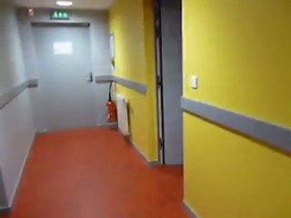 The Jahmaican's Horse - Summer Tour 2010