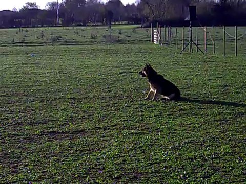 CLIP des Côteaux du Lys