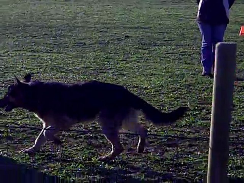 CLIP des Côteaux du Lys