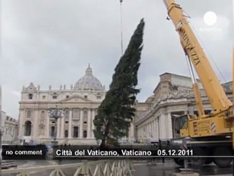 The Vatican's Christmas tree - no comment