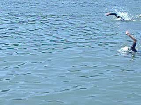 Triathlon du pont d'Avignon(natation)