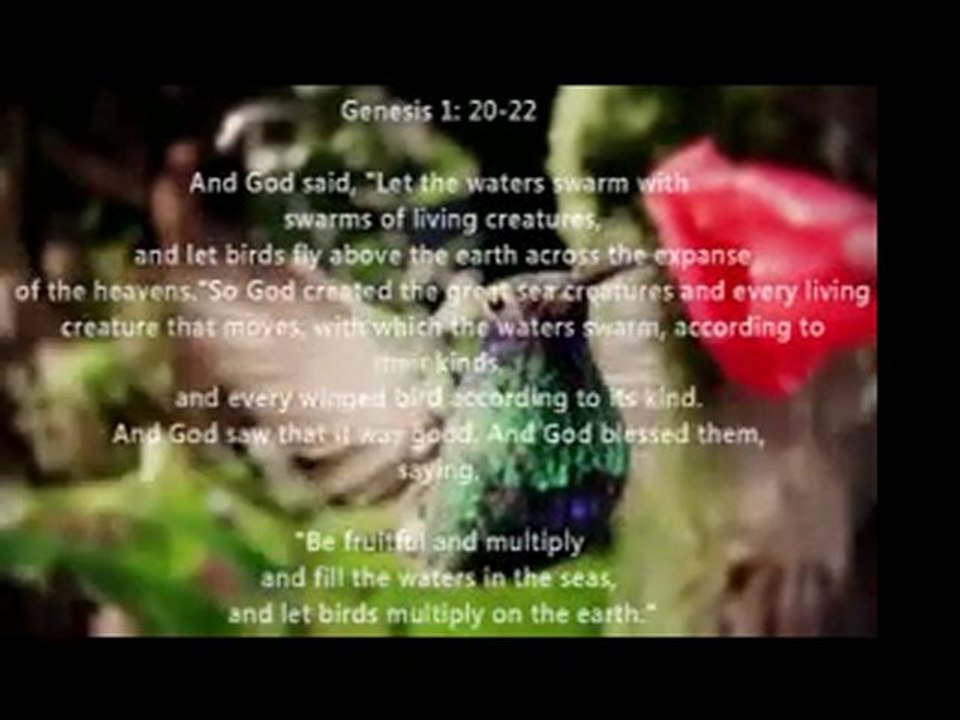 Heavens gate by jody james