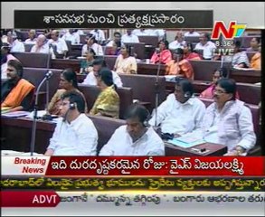 TDP MLA Seethakka Sensational Comments On YS Vijayamma