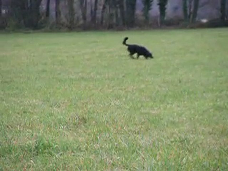 Boann Piste libre 5 décembre 2011