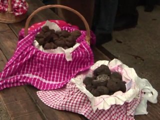 Ouverture du célèbre marché aux truffes de Lalbenque, dans le Lot