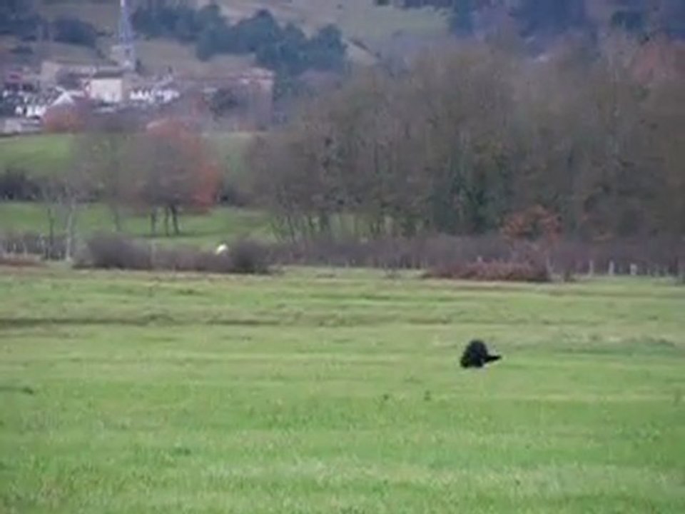 Pouchka Piste libre 5 décembre 2011