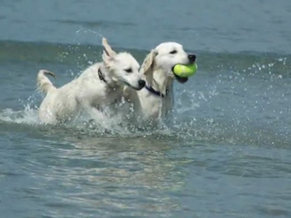 Gaia Guidelle à la page Juillet 2011 à Guidelle Morbihan