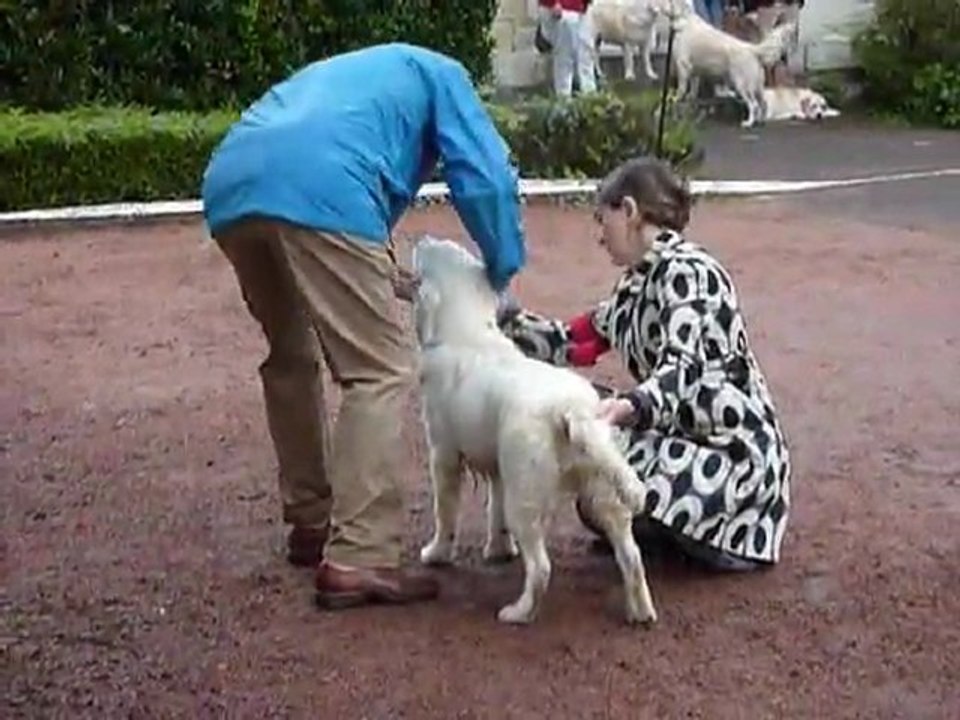 Gaia NE Roiffé 11-9-11 Pupy femelle