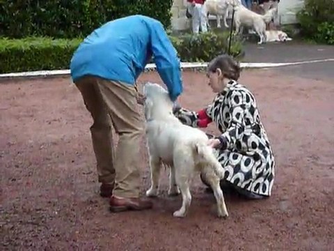 Gaia NE Roiffé 11-9-11 Pupy femelle