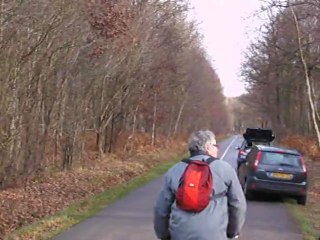 Chasse à courre du cerf : le passage de l'animal hardé