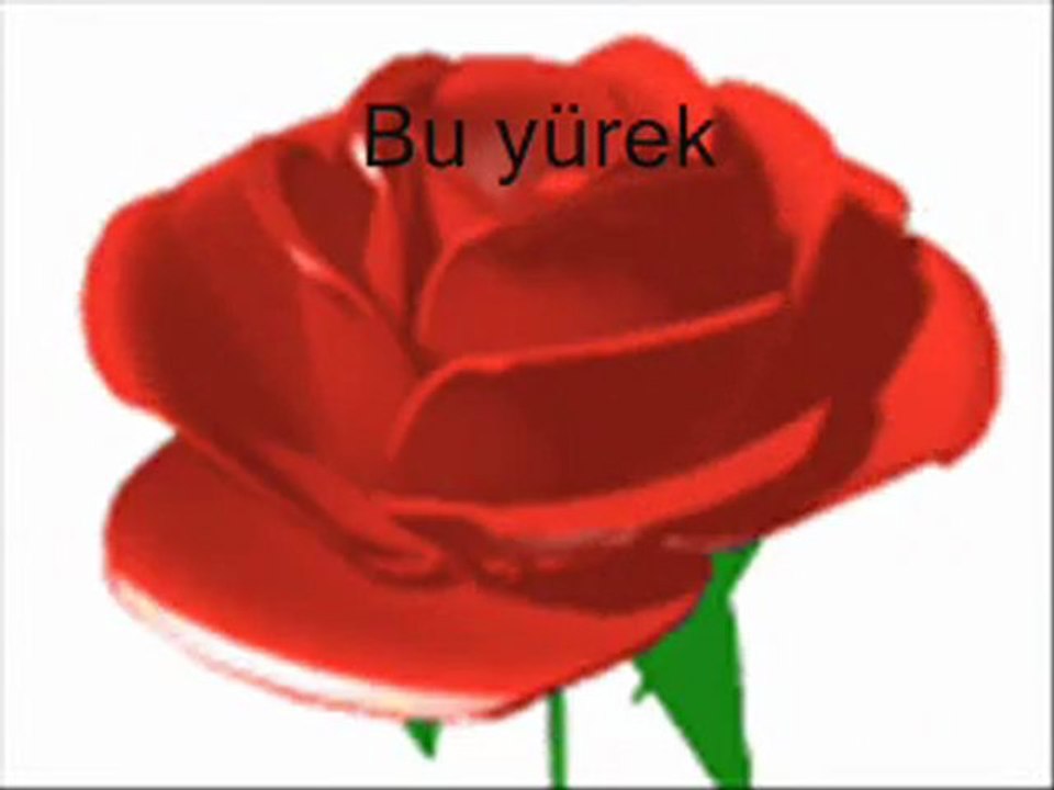 söyleyemem seni ne çok sevdiğimi (Y.january )