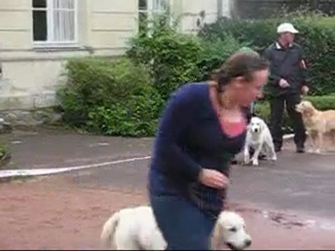 NE Roiffé 11-9-11 toutes les pupy femelles