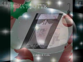 C & C Le Chat potté. Hermione. Sonic. Raiponce