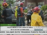 Imágenes de la camioneta impactada por la caída del árbol