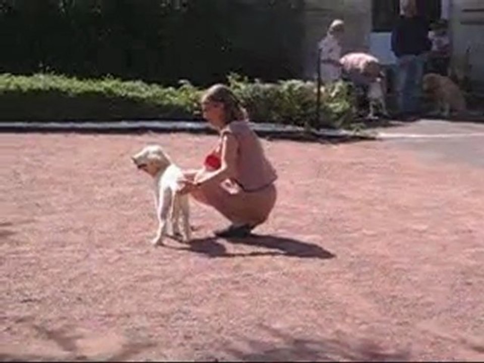 Guiness (Gawahra)Centenaire à Roiffé (1)