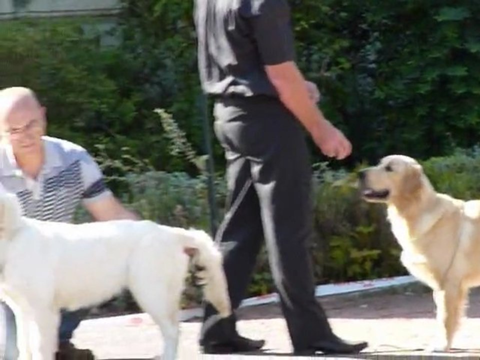 Centenaire Roiffé  10-9-11  Gaia Guidelle