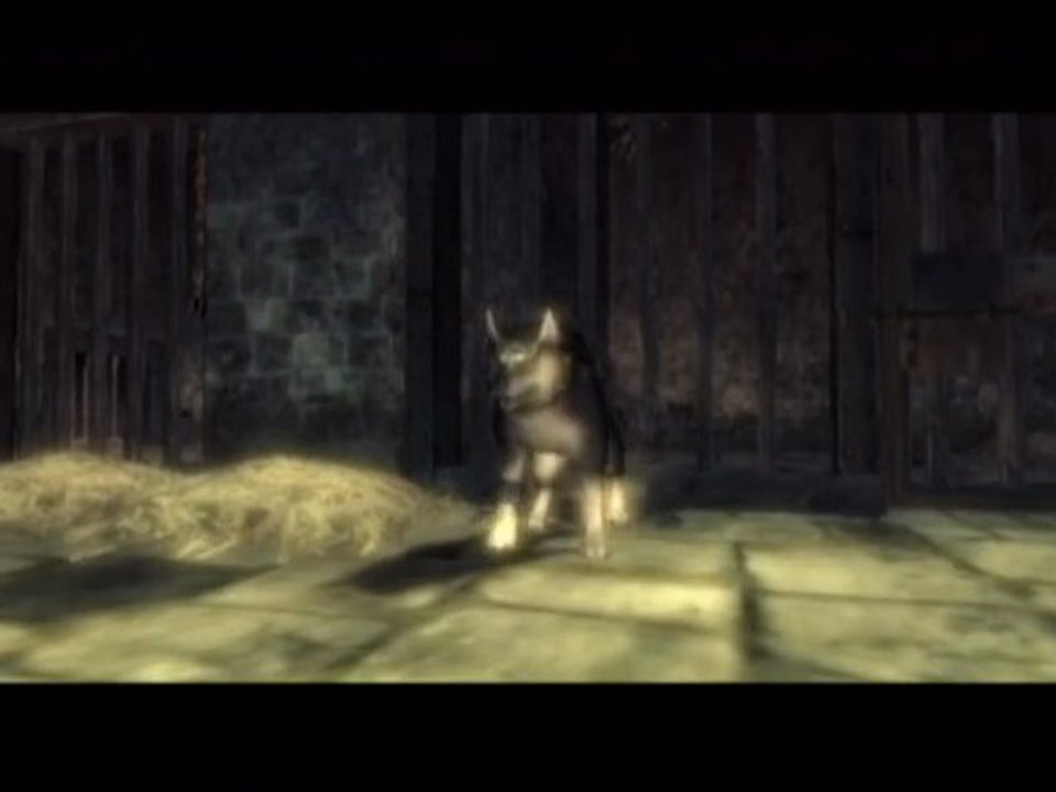 Zelda : Twilight Princess - Wii - 03/Prison Break!