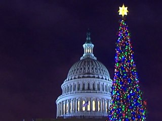 US Congress lights its Christmas tree