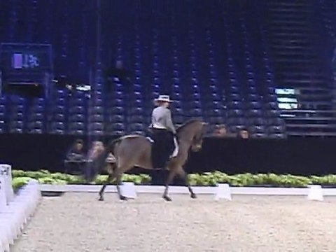 concours de dressage espagnol !!!