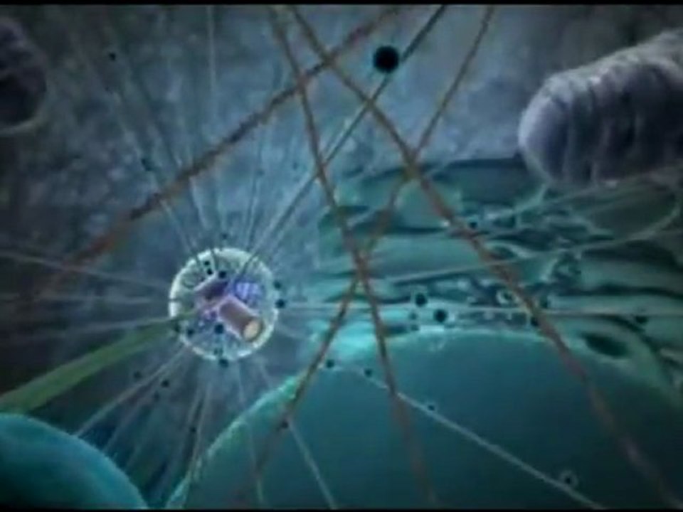 A tudat ébredése - 8. rész