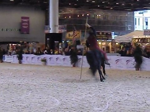 animation équestre au salon du cheval !!!!