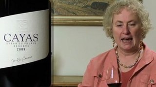 Cayas Syrah du Valais Réserve 2009 de Jean-René Germanier - Wine Tasting