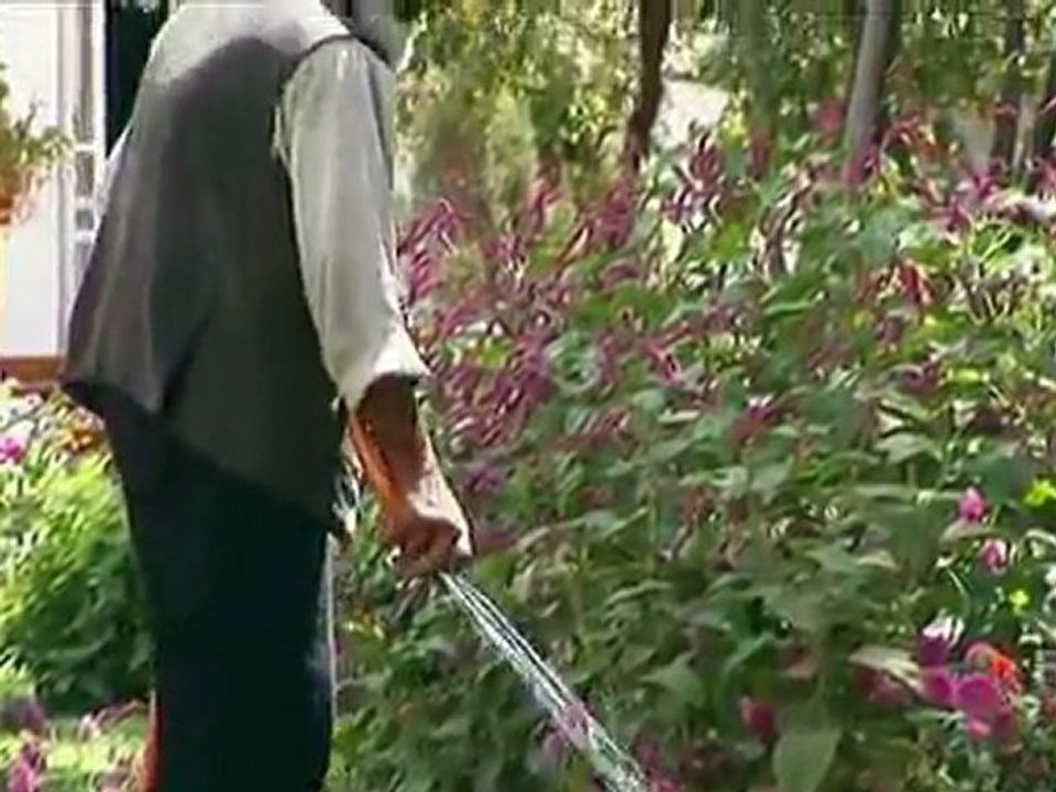 Les Grands Reportages - Docteurs Miracle En Zones De Conflits