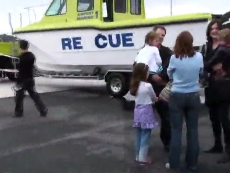 Wild About Wellington